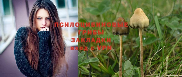мескалин Армянск